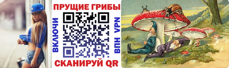 цена наркотик  Калуга  Псилоцибиновые грибы Psilocybine cubensis 
